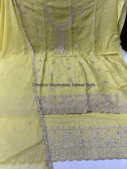 Cheetos Nayandeep Organza Salwar Suits Supplier Ahmedabad