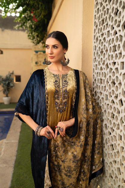 Chintz Naariti Velvet Suits Supplier Ahmedabad