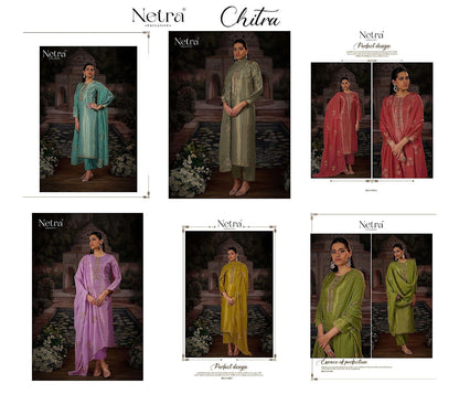 Chitra Netra Premium Bemberg Pant Style Suits Wholesaler Ahmedabad