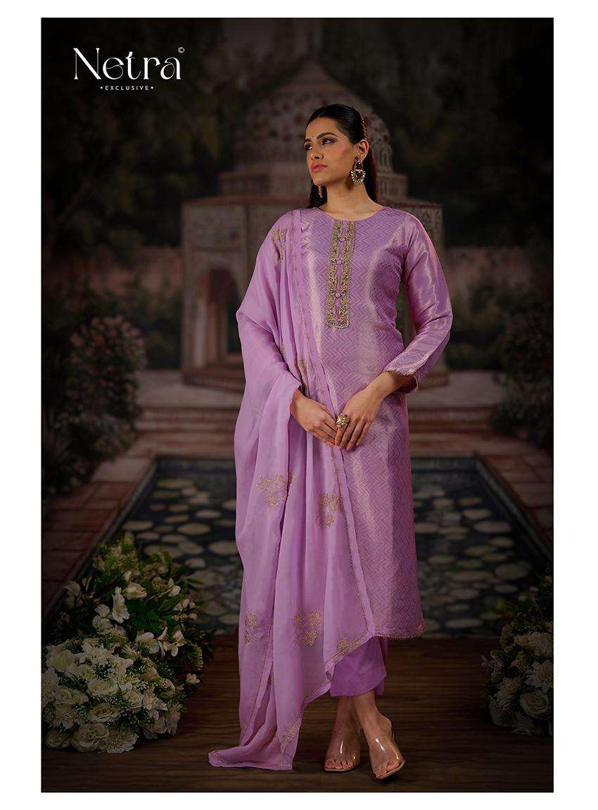 Chitra Netra Premium Bemberg Pant Style Suits Wholesaler Ahmedabad
