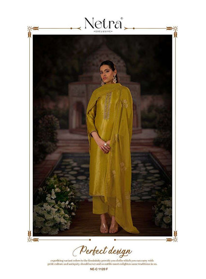 Chitra Netra Premium Bemberg Pant Style Suits Wholesaler Ahmedabad