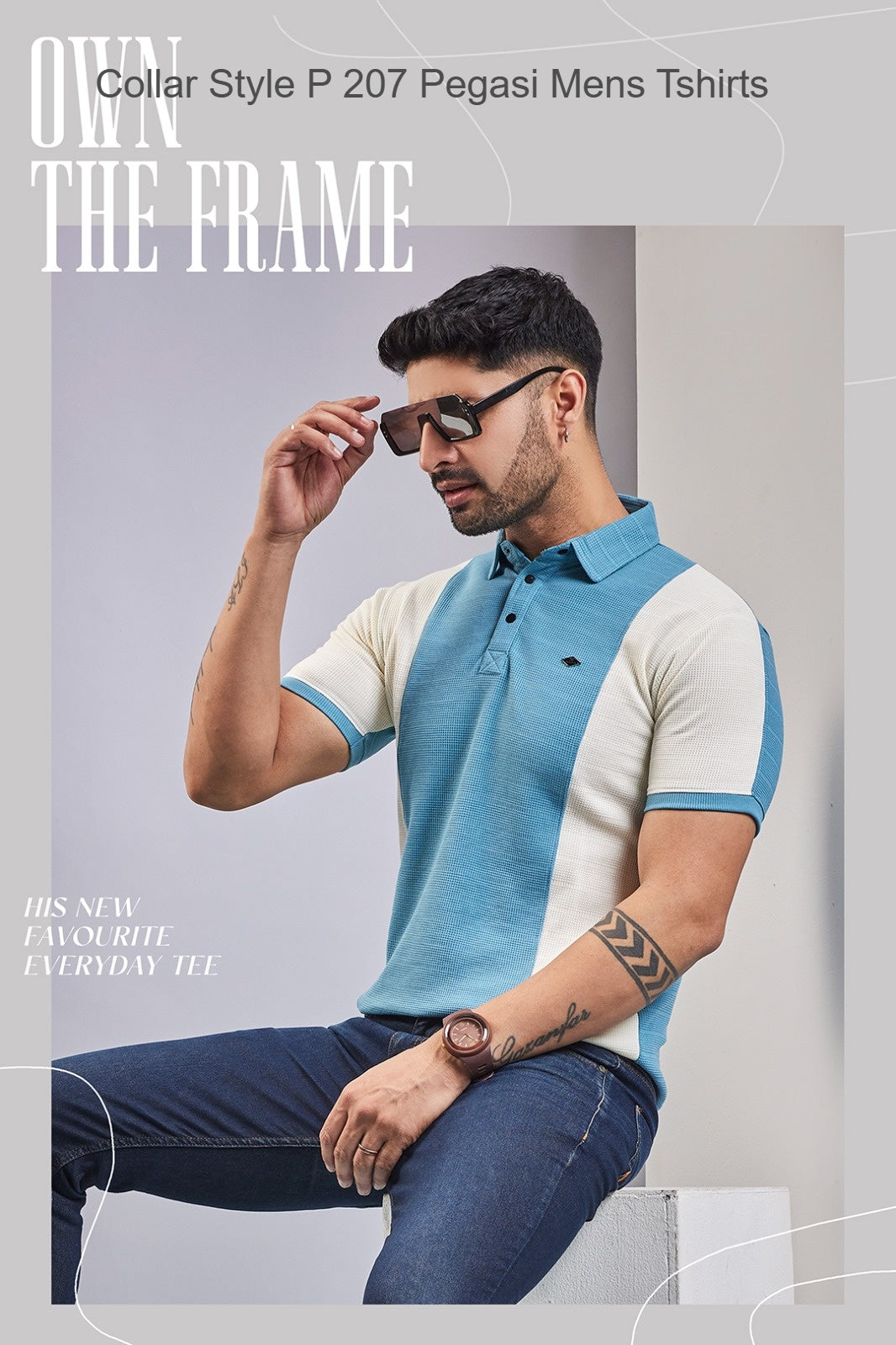 Collar Style P 207 Pegasi Knit Mens Tshirts Exporter Ahmedabad