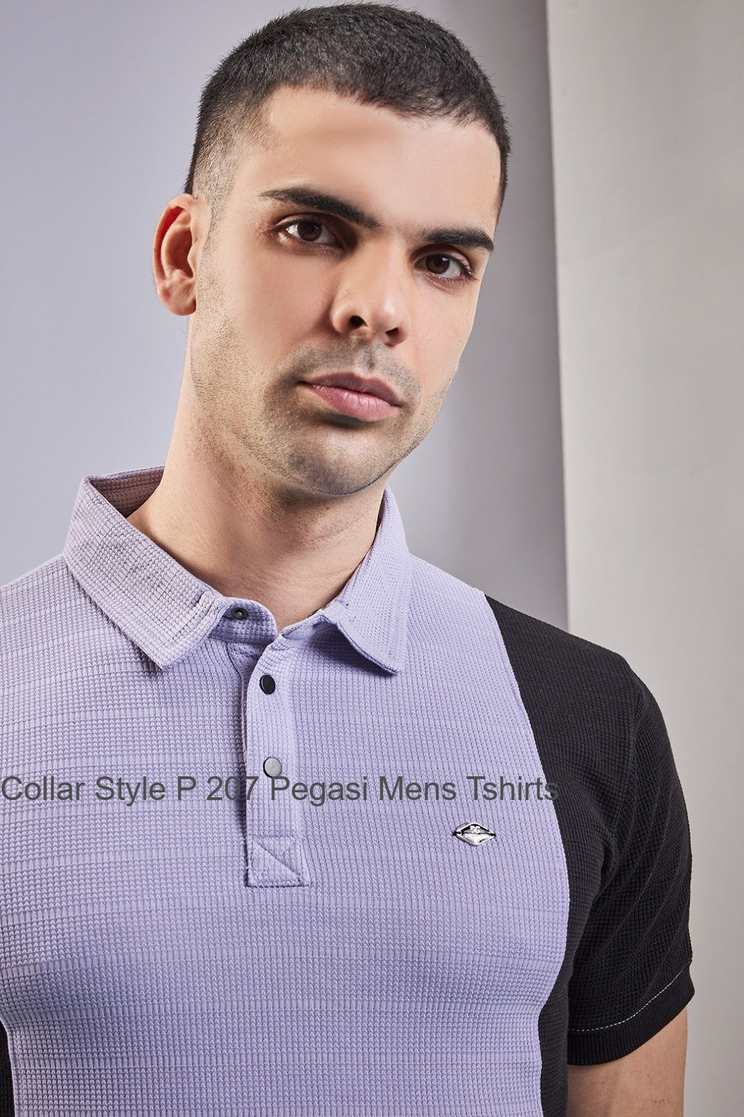 Collar Style P 207 Pegasi Knit Mens Tshirts Exporter Ahmedabad