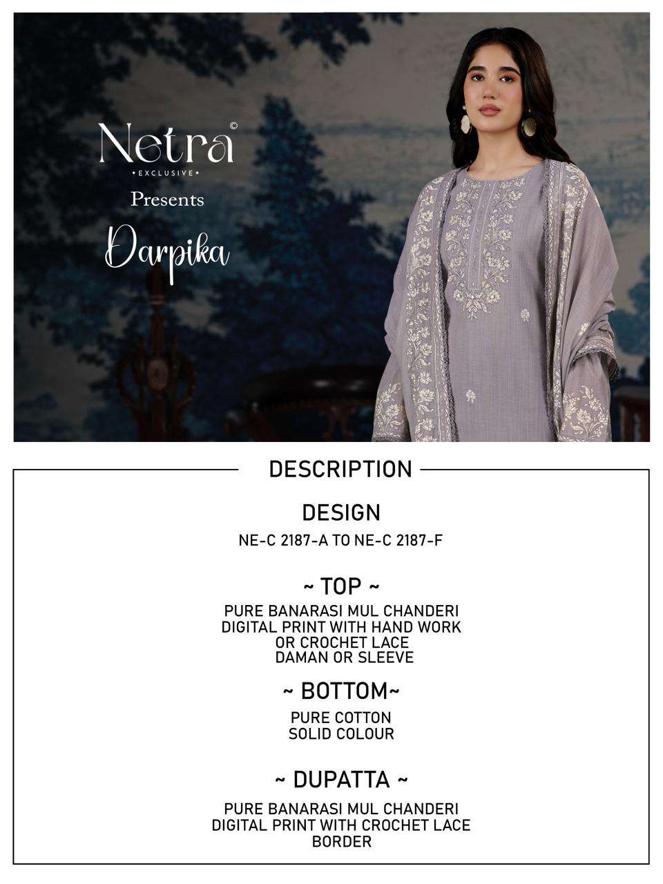 Darpika Netra Banarasi Pant Style Suits Supplier Gujarat