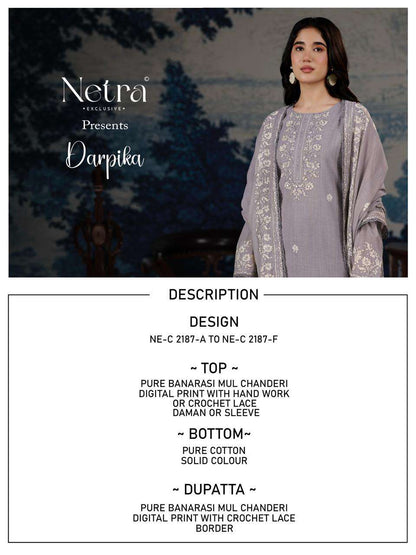 Darpika Netra Banarasi Pant Style Suits Supplier Gujarat