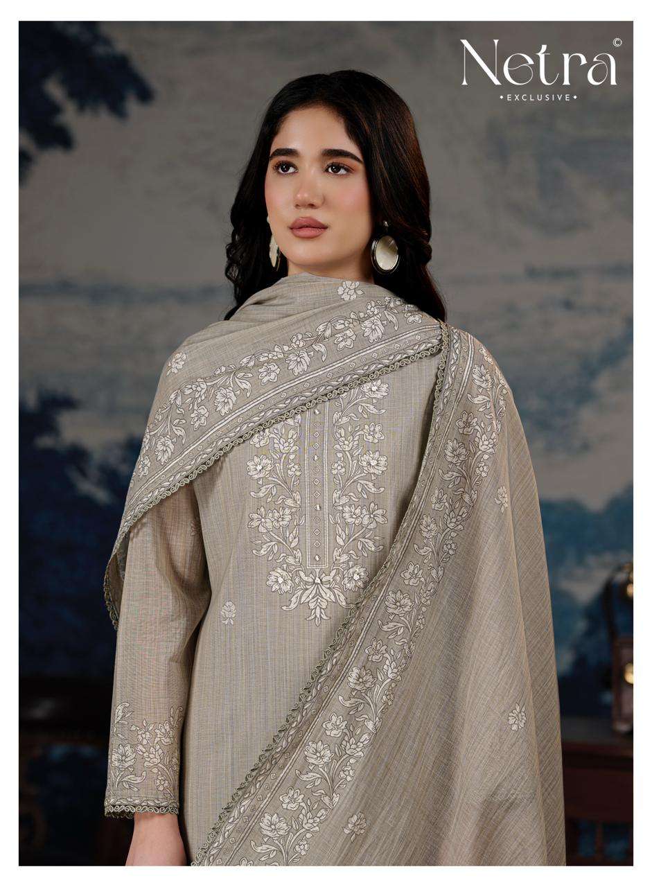 Darpika Netra Banarasi Pant Style Suits Supplier Gujarat