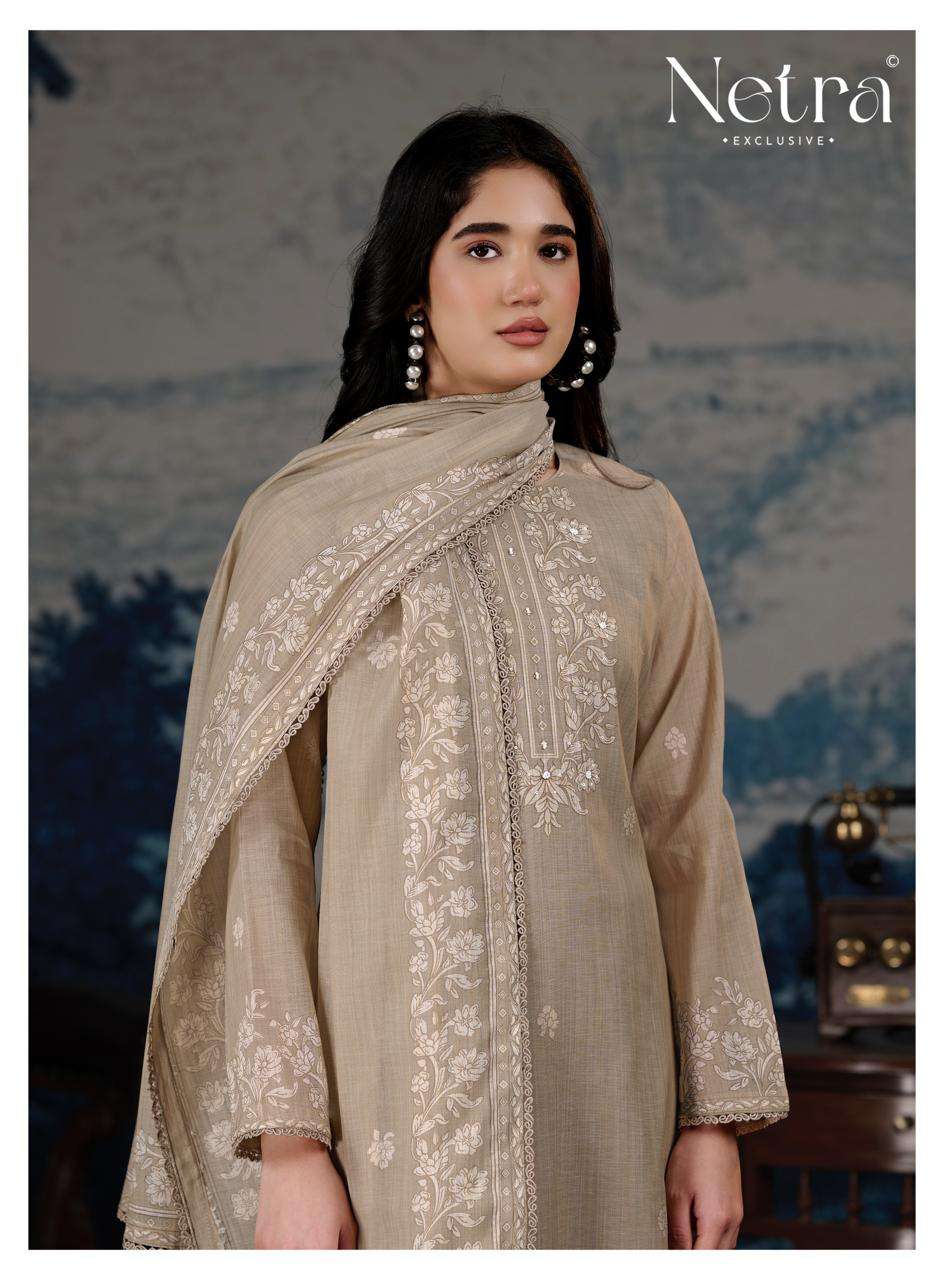 Darpika Netra Banarasi Pant Style Suits Supplier Gujarat