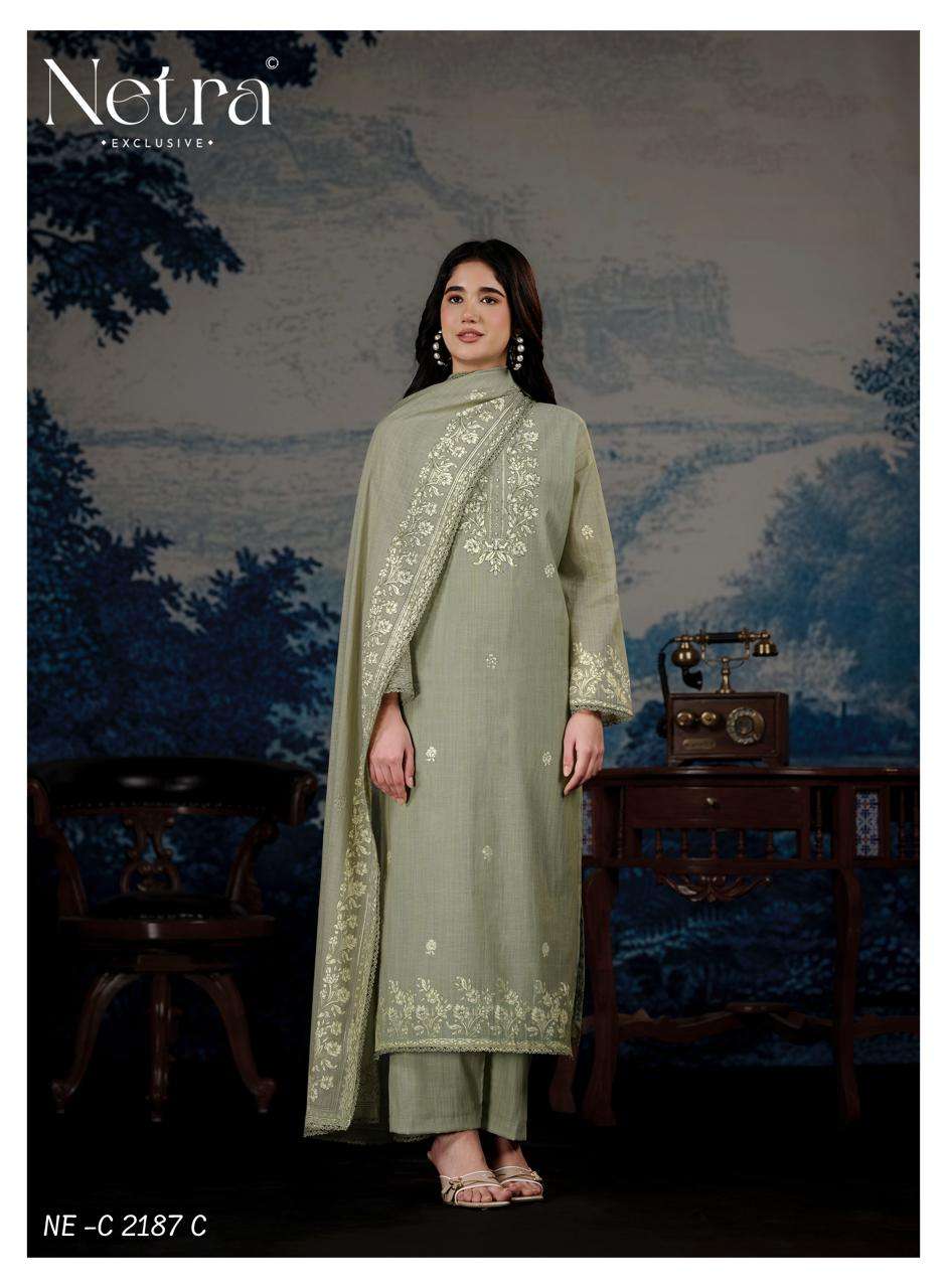 Darpika Netra Banarasi Pant Style Suits Supplier Gujarat
