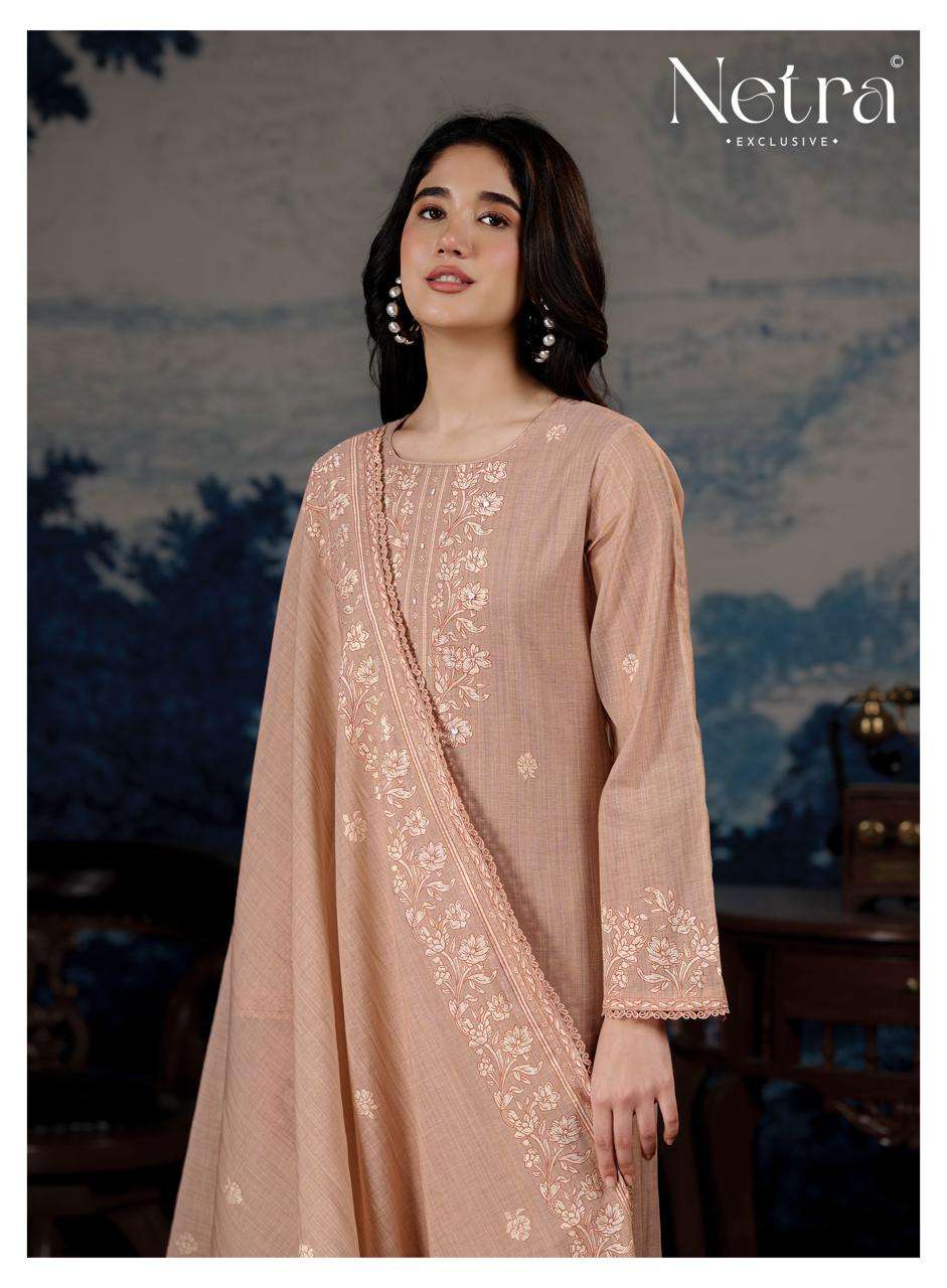 Darpika Netra Banarasi Pant Style Suits Supplier Gujarat