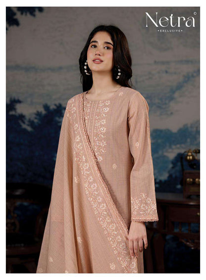 Darpika Netra Banarasi Pant Style Suits Supplier Gujarat