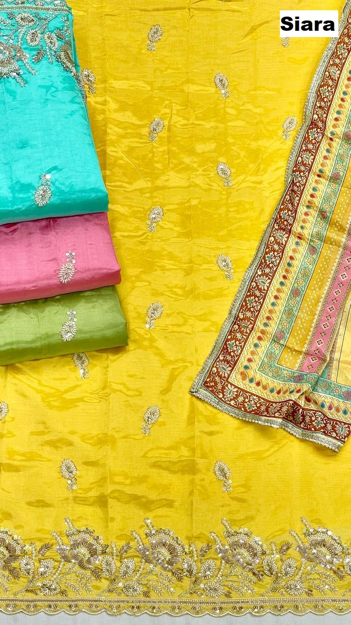 Design 0210 Siara Organza Salwar Suits Wholesale Price