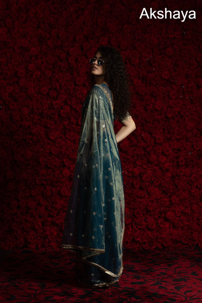 Design 111A To 111E Akshaya Organza Sarees Supplier Ahmedabad