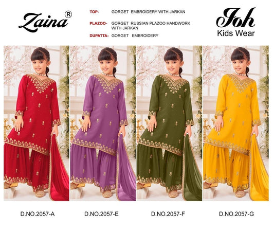 Design 2057 Zaina Georgette Girls Pakistani Readymade Suit Manufacturer