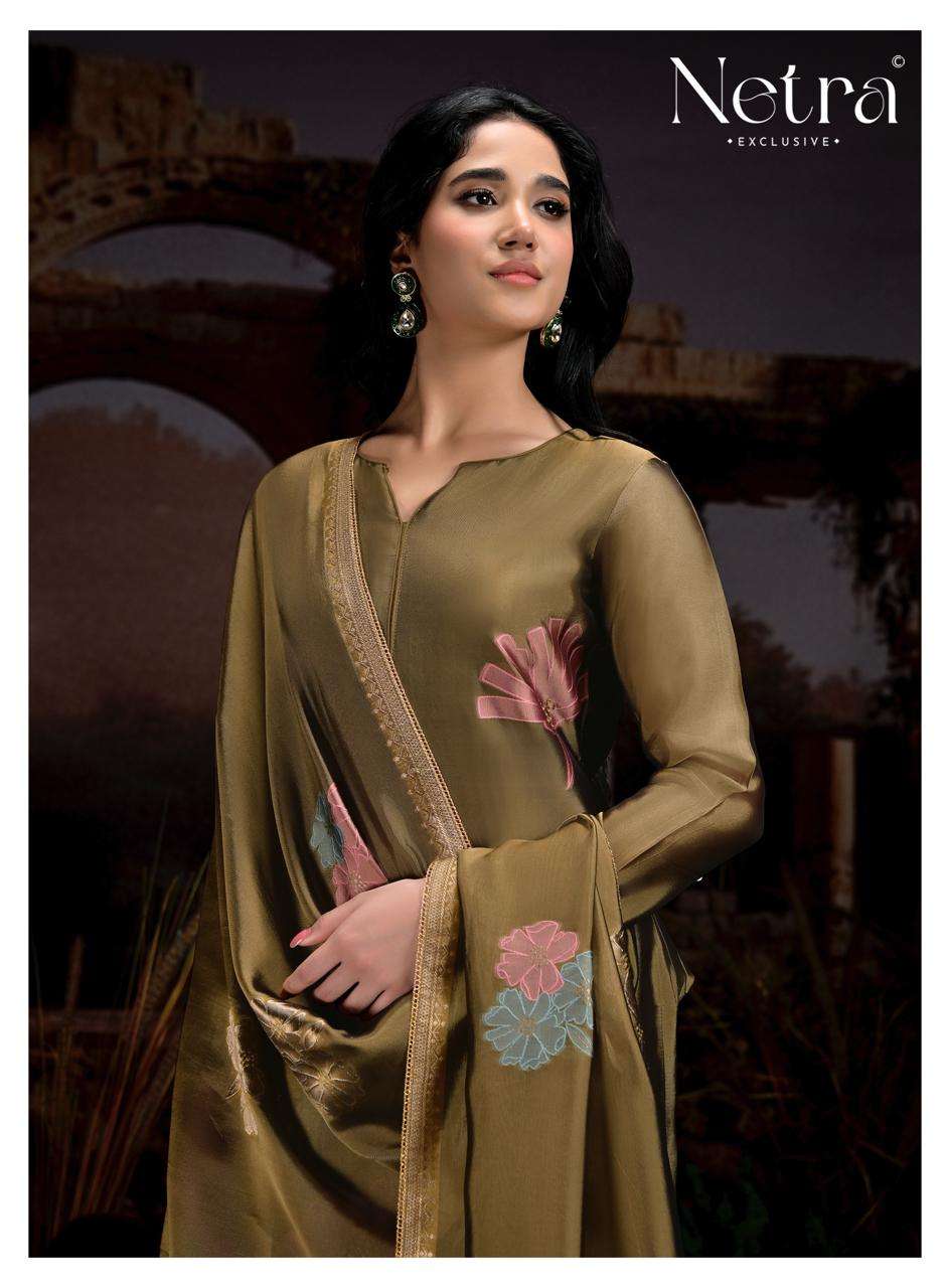 Dhanvi Netra Woven Silk Pant Style Suits Manufacturer Ahmedabad