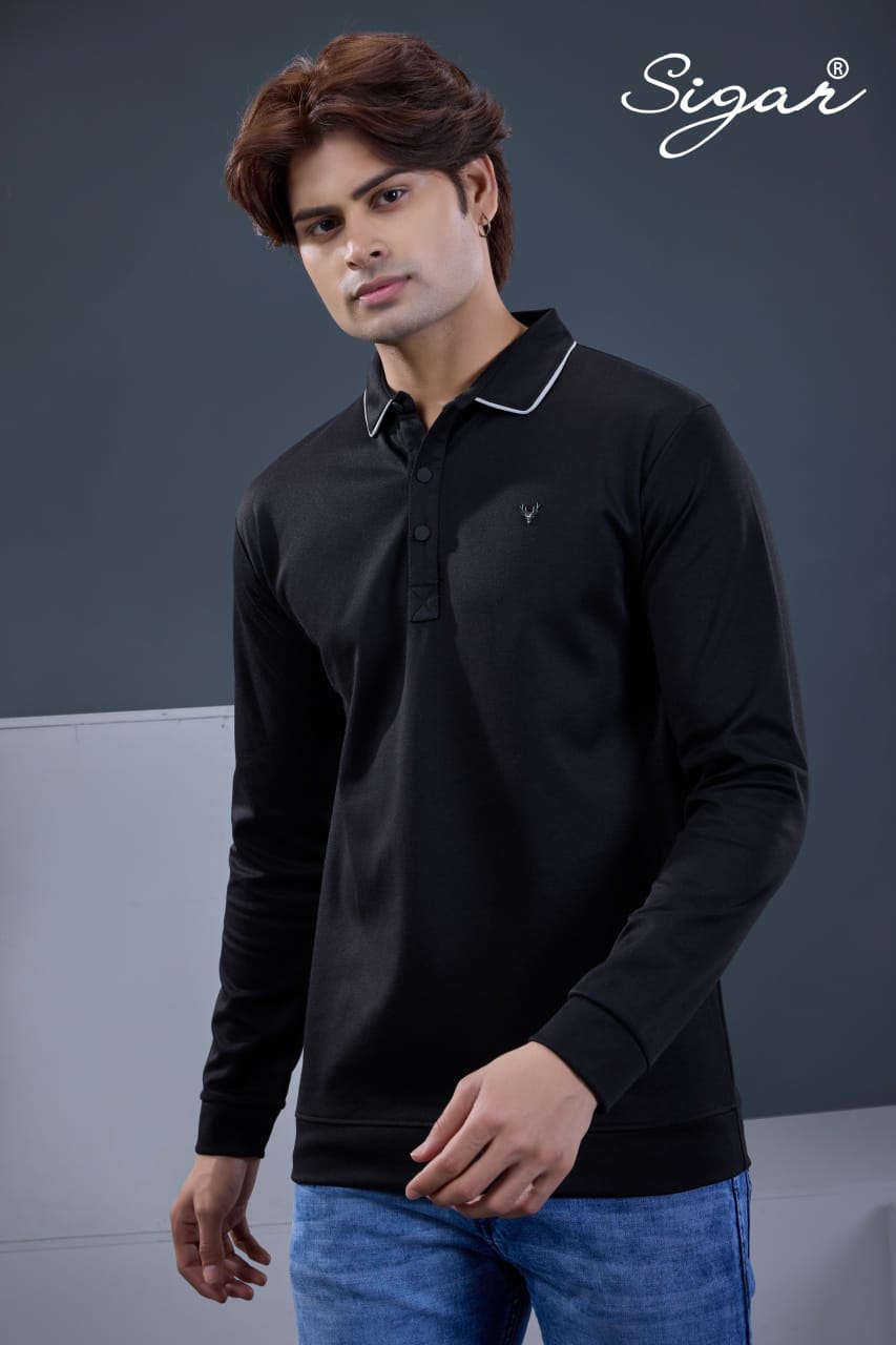 Dn 8024 Full Sleeves Sigar Interlock Mens Tshirts Exporter