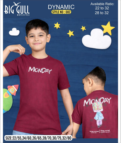 Dynamic Style 002 Big Gull Cotton Biowashed Boys Tshirt Exporter Ahmedabad