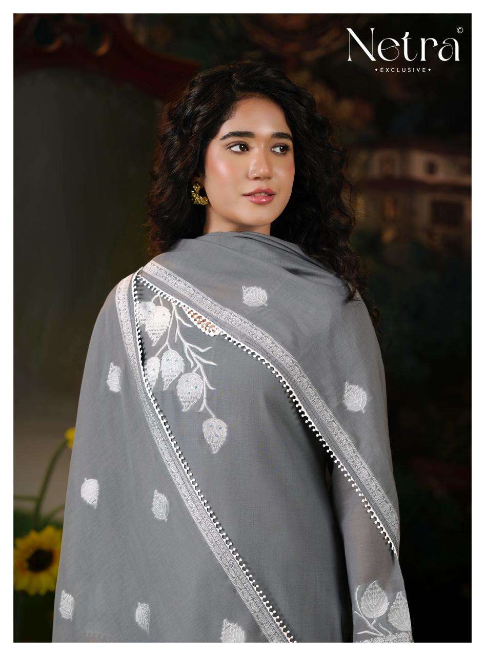 Eva Netra Banarasi Pant Style Suits Supplier India