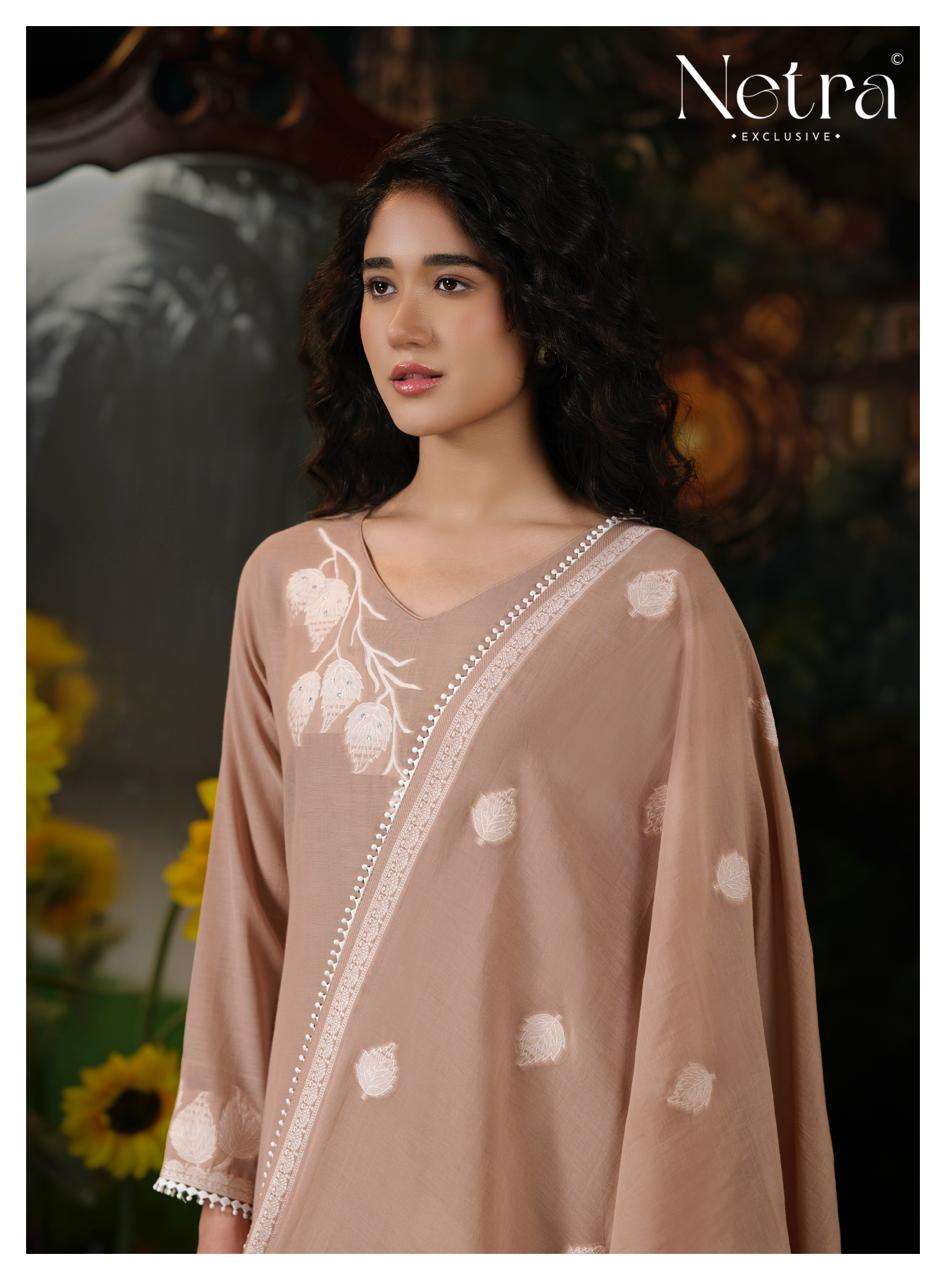 Eva Netra Banarasi Pant Style Suits Supplier India