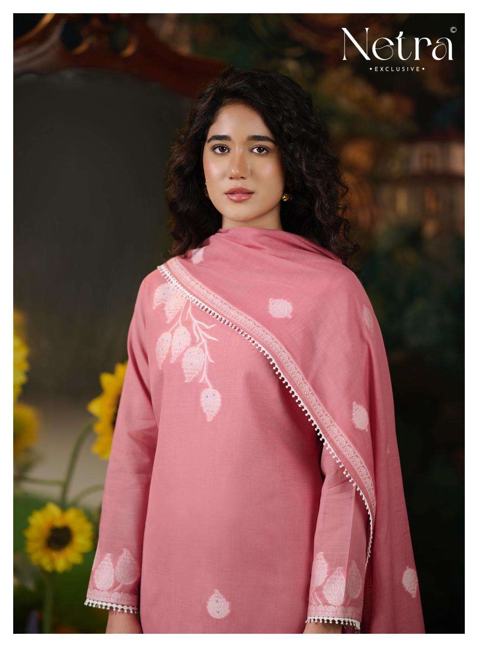 Eva Netra Banarasi Pant Style Suits Supplier India