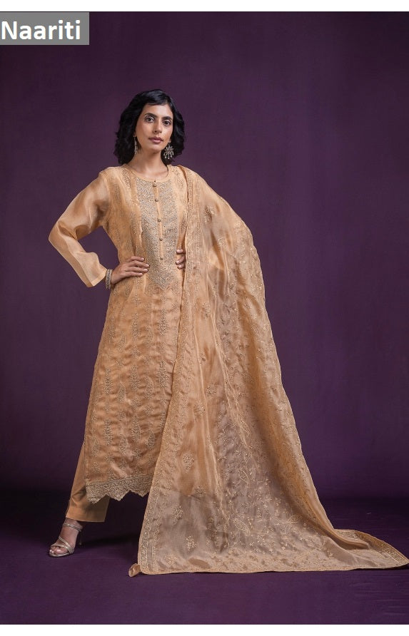 Faruqi 173 Naariti Tissue Silk Pant Style Suits Exporter Ahmedabad