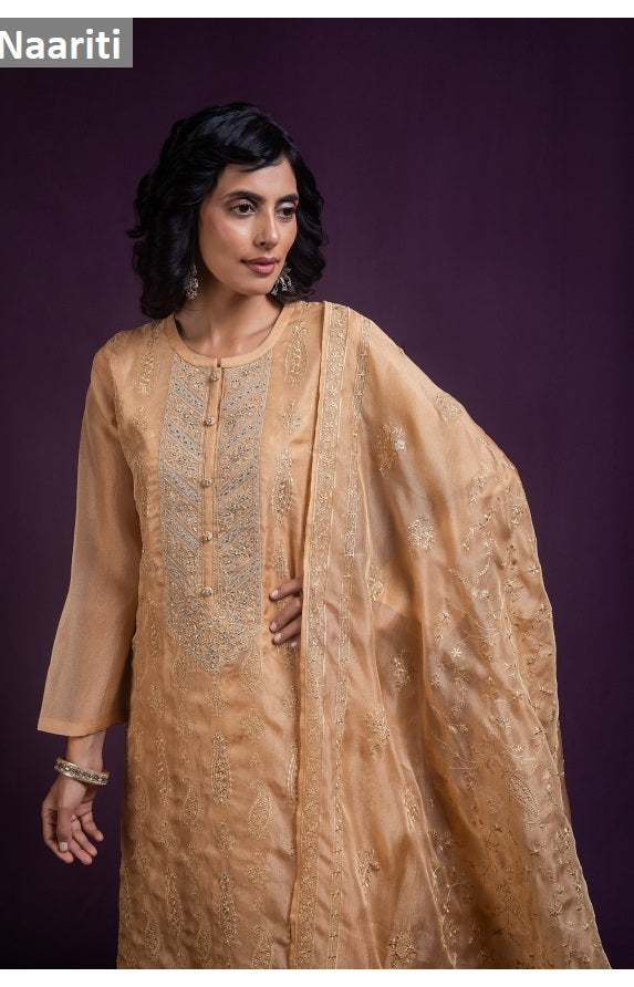Faruqi 173 Naariti Tissue Silk Pant Style Suits Exporter Ahmedabad