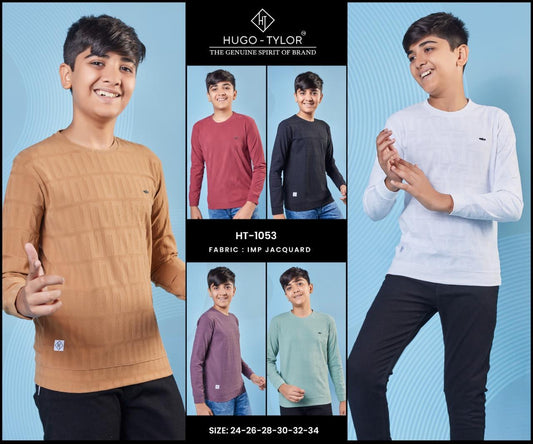 Full Sleeves Ht 1053 Hugo Tylor Imported Boys Tshirt Supplier Gujarat