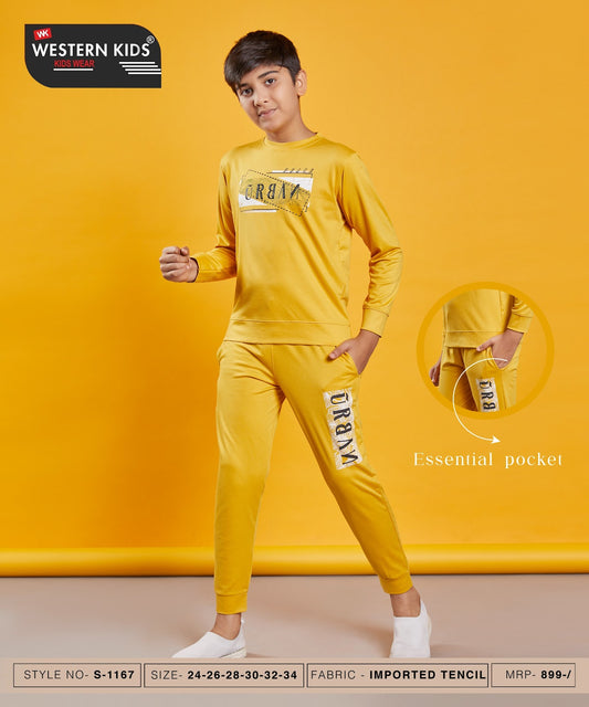 Full Sleeves Style 1167 Western Kids Imported Boys Co Ord Set Wholesale