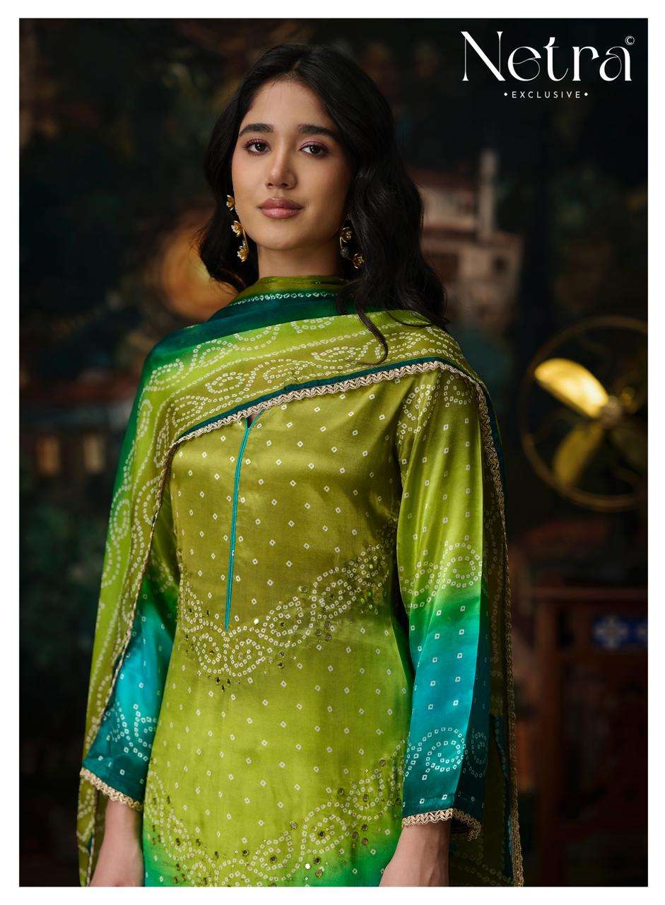 Gajji Vol 13 Netra Silk Pant Style Suits Wholesale Price