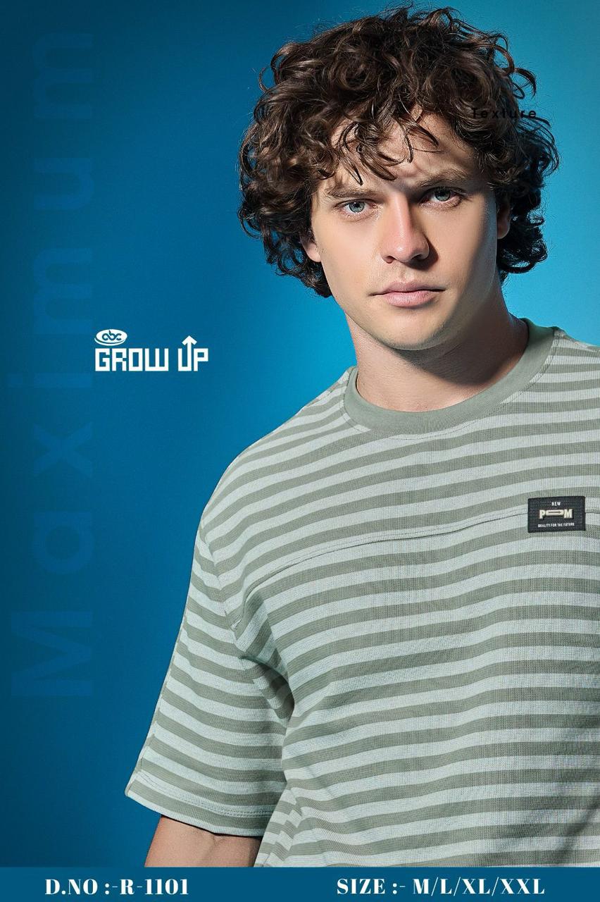 Gsm 210-220 Vol 1101 Growup Interlock Mens Tshirts Supplier Ahmedabad
