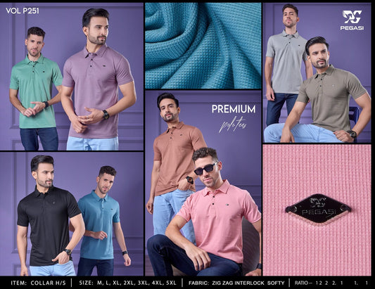 Gsm 230 Vol P251 Pegasi Interlock Mens Tshirts Supplier