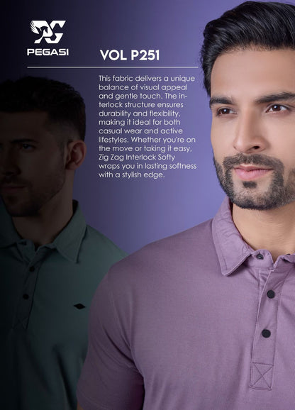 Gsm 230 Vol P251 Pegasi Interlock Mens Tshirts Supplier