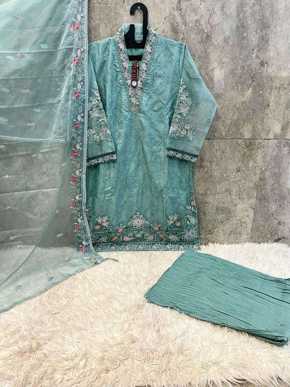 Hf 208 Hoor Tex Organza Pakistani Readymade Suits Manufacturer