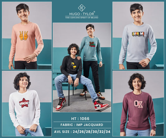 Ht 1066 Hugo Tylor Imported Boys Tshirt Manufacturer Gujarat