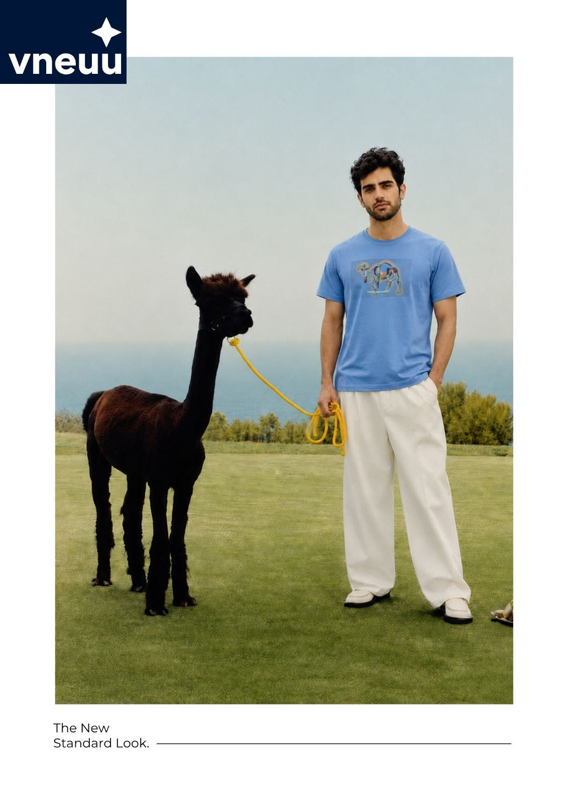 Iho G368 Vneuu Knit Mens Tshirts Manufacturer