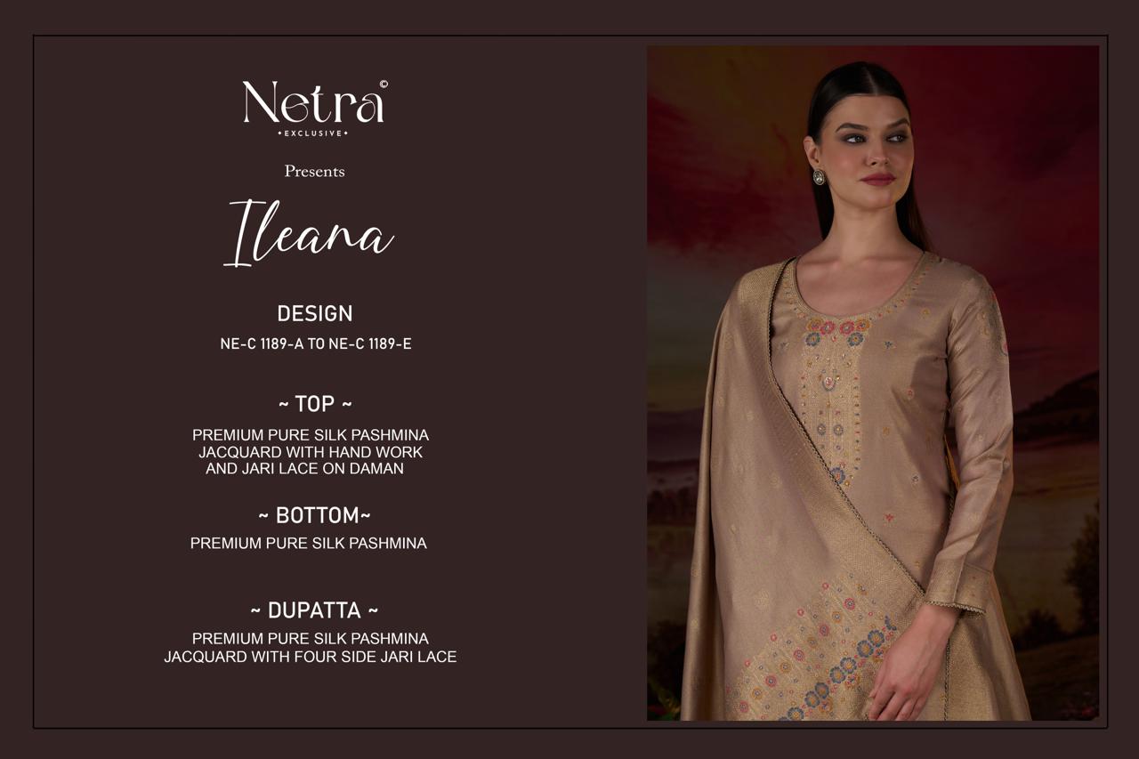 Ileana Netra Pure Silk Pashmina Suits Supplier