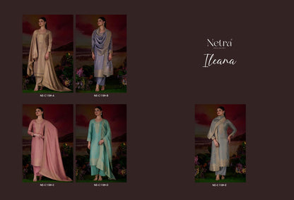 Ileana Netra Pure Silk Pashmina Suits Supplier
