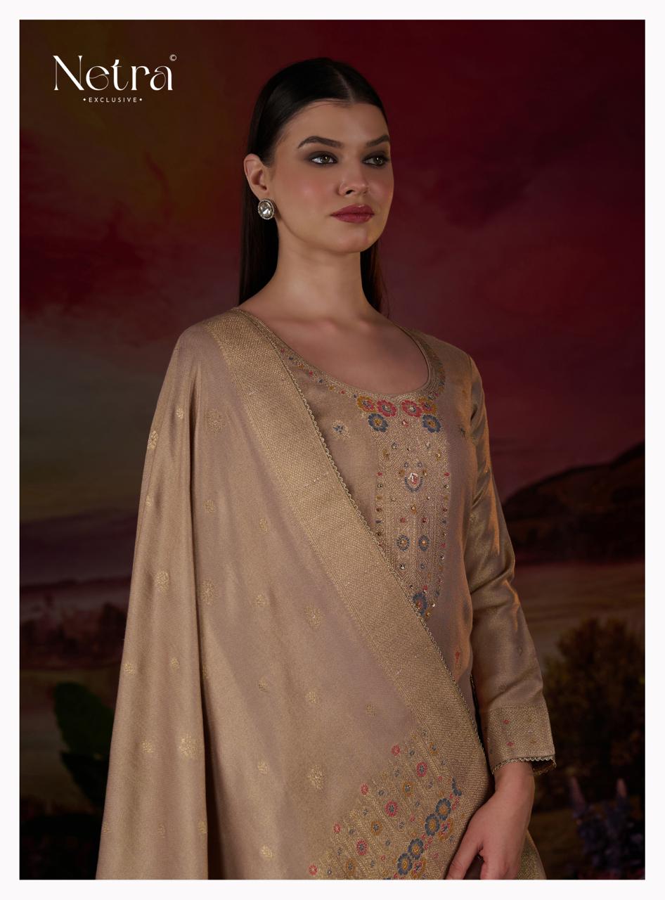 Ileana Netra Pure Silk Pashmina Suits Supplier