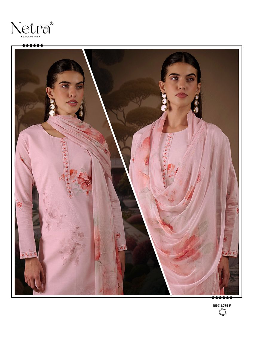 Jagvi Netra Premium Cotton Pant Style Suits Supplier
