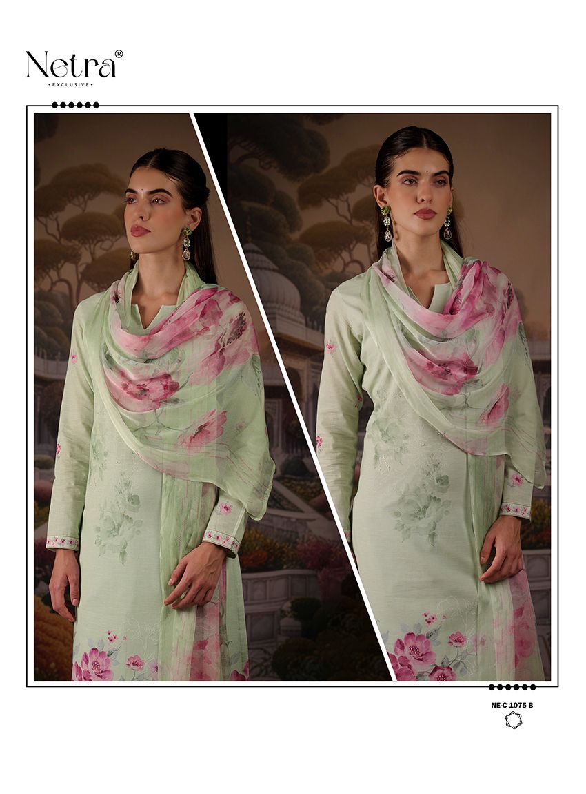Jagvi Netra Premium Cotton Pant Style Suits Supplier