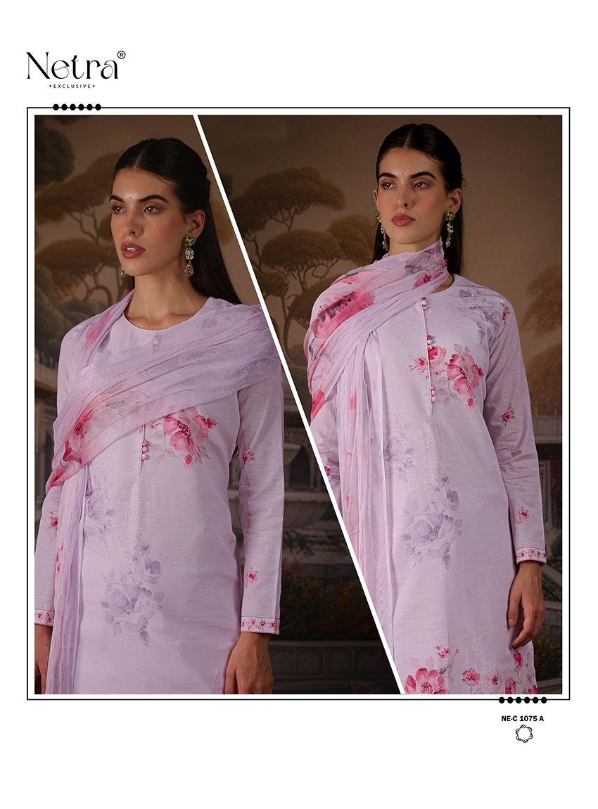 Jagvi Netra Premium Cotton Pant Style Suits Supplier