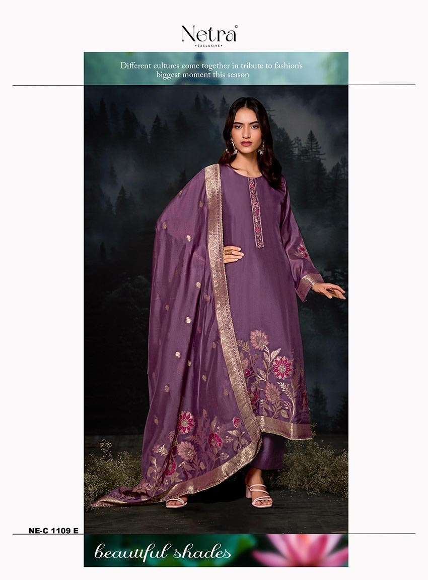 Janvi Netra Premium Viscose Pant Style Suits Supplier