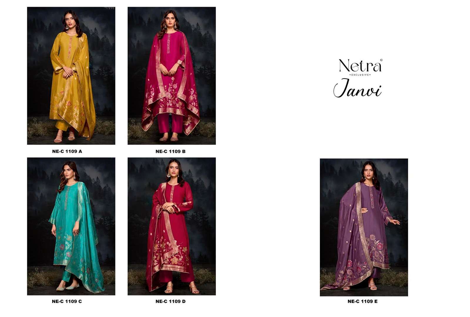 Janvi Netra Premium Viscose Pant Style Suits Supplier
