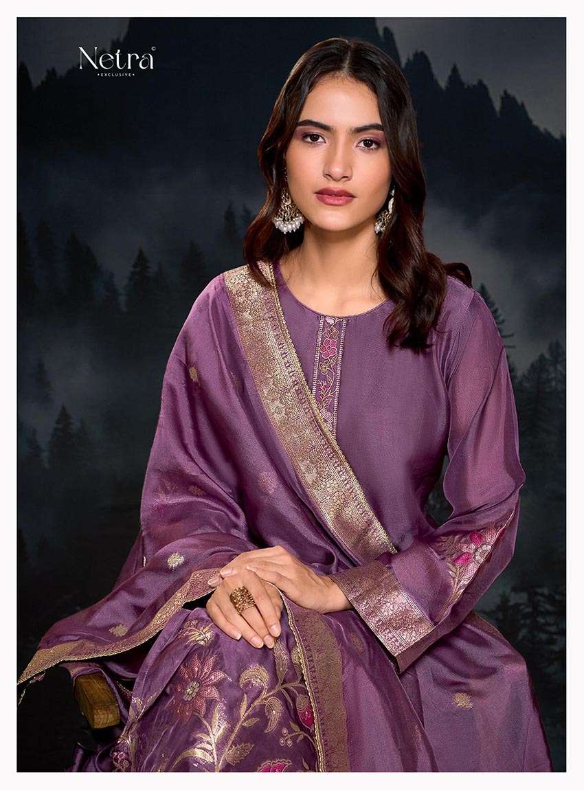 Janvi Netra Premium Viscose Pant Style Suits Supplier