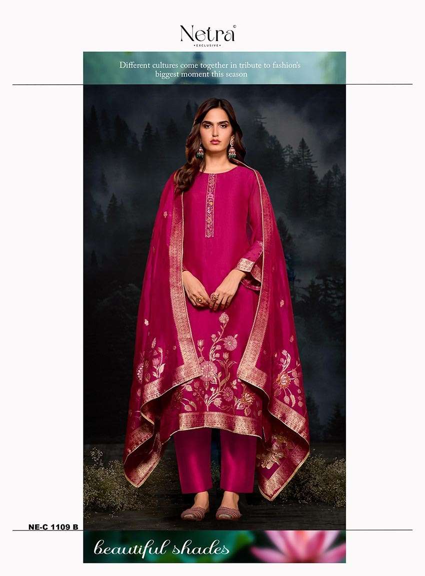 Janvi Netra Premium Viscose Pant Style Suits Supplier