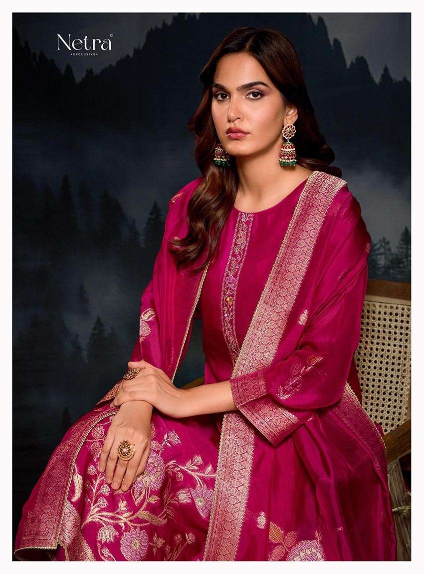 Janvi Netra Premium Viscose Pant Style Suits Supplier