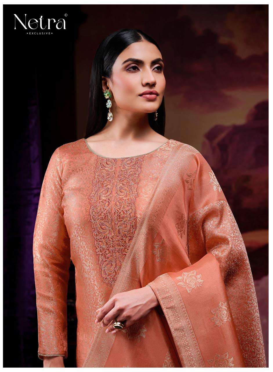 Jenika Netra Bemberg Silk Pant Style Suits Wholesaler Ahmedabad