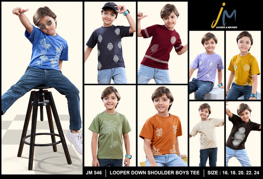 Jm 546 Jackey N Mickey Looper Boys Tshirt Manufacturer Gujarat