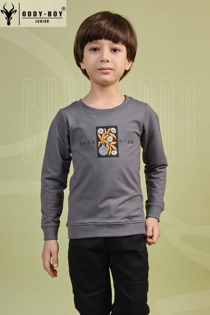 Junior Obj 166-A 166-B Oddy Boy Lycra Looper Boys Tshirt Wholesale Price