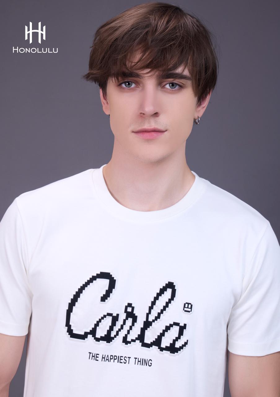 Lot 1333 Honolulu Cotton Mens Tshirts Supplier Gujarat