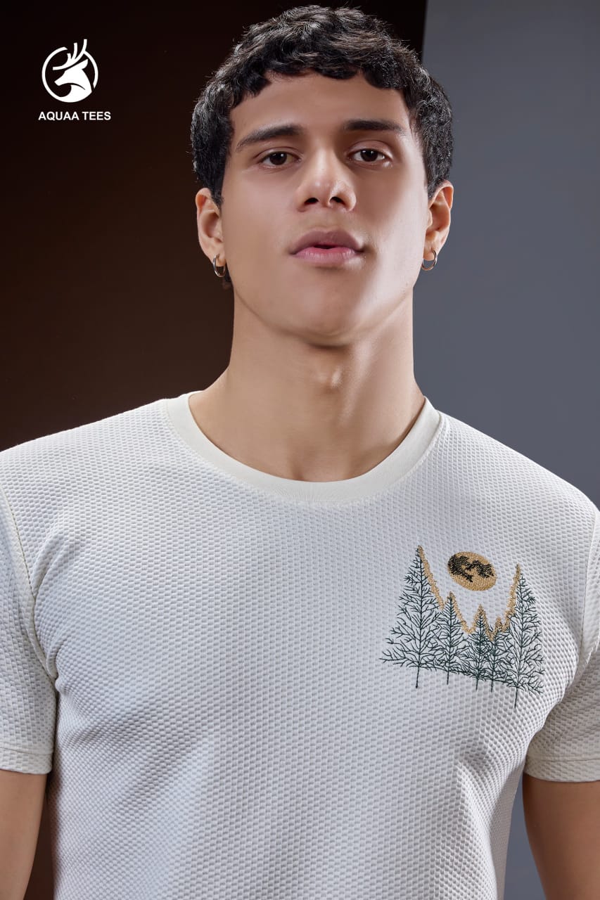 Lot No 236 Aquaa Tees Imported Mens Tshirts Wholesaler India